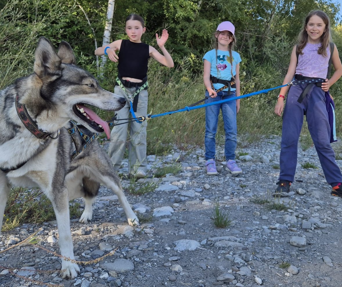 Groupe d'enfants en colo en pleine balade avec des chiens et le musher.